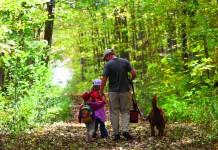 DEP study: Lyme disease risk in all 67 Pennsylvania counties