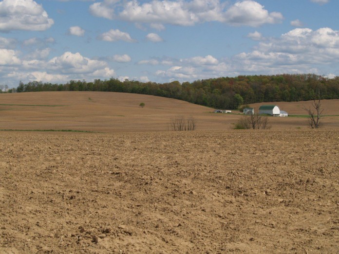 farmland
