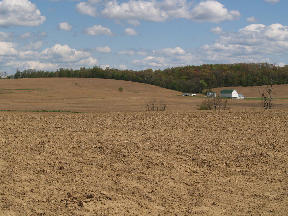 farmland