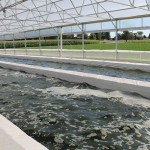 Ohio’s first agriscience STEM school to open