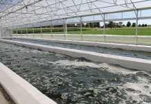 Wooster algae farm in transition