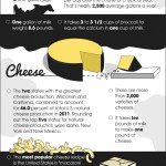 National dairy month infographic