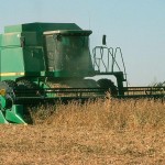 Grain prices perky without good reason