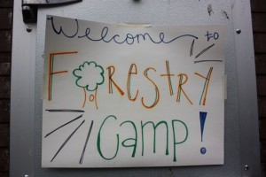 forestry camp poster.JPG