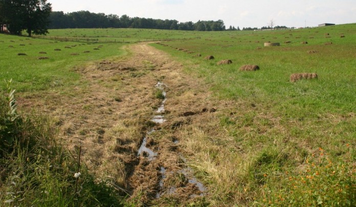 grassed waterway.1200