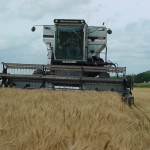 Kansas wheat farmer files lawsuit against Monsanto over GE wheat wheat combine