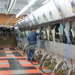 Are incentive-based employment tools a good idea for your farm?