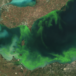 NOAA says Lake Erie will see ‘significant algal bloom’