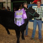 Carroll GC Steer