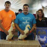 Grand Champ  Harrison 2013