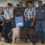 Grand Champ Hog Harrison 2013