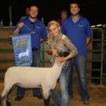 Grand Champ Sheep Harrison 2013