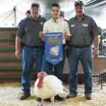 Grand Champ Turkey Harrison 2013