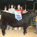 Harrison County Fair 2013 youth livestock auction results grand champion steer
