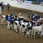 Gov. Corbett signs law cutting red tape for livestock exhibitors