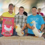 Reserve Champ Ducks Harrison 2013