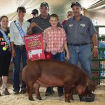 Reserve Champ Hog Harrison 2013