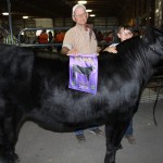 Summit Gr ch. steer