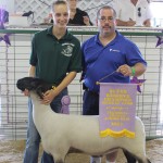 Trumbull rs ch lamb