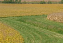 Revised phosphorus index can help curb agricultural runoff