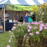 Help save the bees: Pollinator gardens focus of Ag Progress Days’ Yard and Garden area