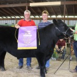 Trumbull County 2013 youth fair livestock auction results