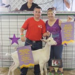 trumbull rs dairy goat