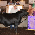 Butler gr home bred steer