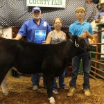 Canfield gr ch beef heifer feeder