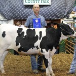 Canfield gr ch dairy feeder