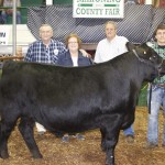 Canfield gr ch market beef