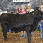 Canfield rs ch market beef