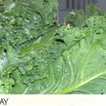 Keeping kale fresh in the freezer