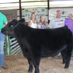 Portage gr steer