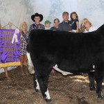 Portage res steer