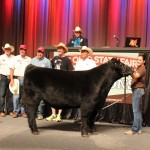 Rsv Ch steer
