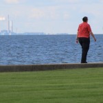 Ohio lawmakers to hear plans for water quality bond issue Maumee Bay