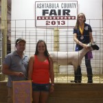 Asht. Reserve Champ Lamb