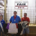 Asht. Reserve Best of Show Half