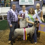 canfield rs ch carcass lamb