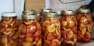 More people turning to canning to preserve food this year canned nectarines