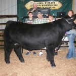 Grand Steer Col. Co.