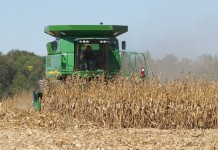 Nutrient balance and integrated management are keys to optimal corn yields