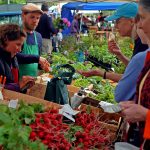 Pa. Governor: agriculture is an essential business farmers market