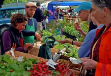 Farmers market coming to westside of Columbus farmers market