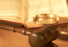 Undercover film producer one of four charged in Colorado animal abuse case