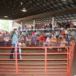 lamb sale crowd.JPG