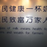 Is China a potential market for U.S. dairy products?