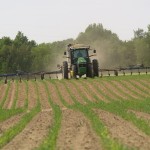 Fertilizer prices headed lower sidedressing corn