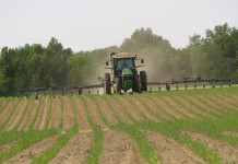 The ag cycle is stuck on repeat sidedressing corn
